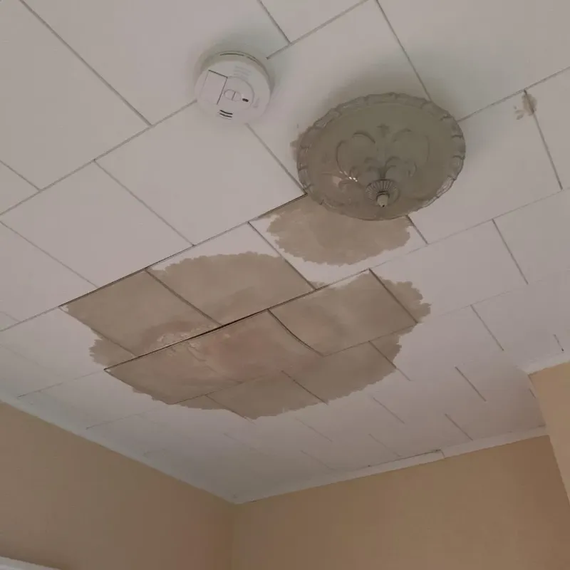 Ceiling Water Damage Repair in Highpoint, OH