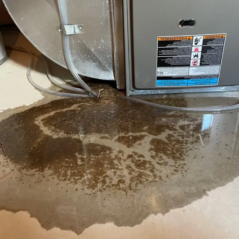 Pipe Burst and Leak Restoration in Highpoint, OH