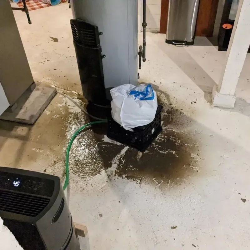 Sewage Backup Cleanup Service in Highpoint, OH